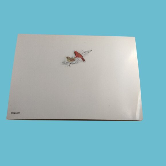 Blank Christmas Card Seasons Greetings Cardinal Birds Envelope Holiday - Picture 6 of 7
